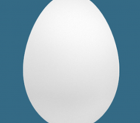 Three Followers and an Egg